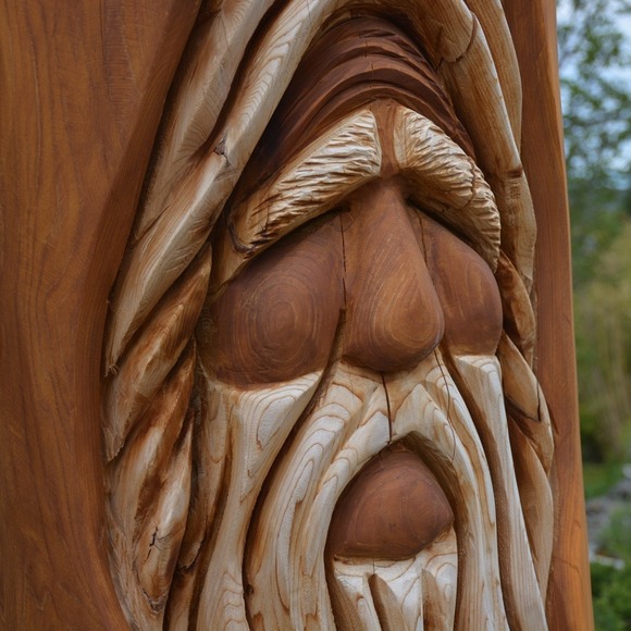 Meet your Posher, Trace - Picture 1 of 1